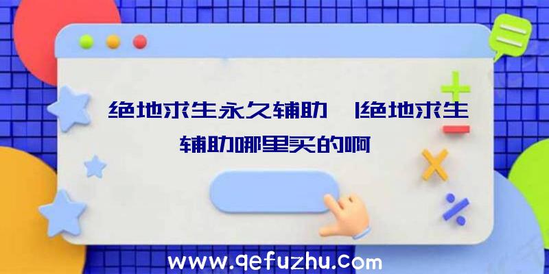 「绝地求生永久辅助」|绝地求生辅助哪里买的啊